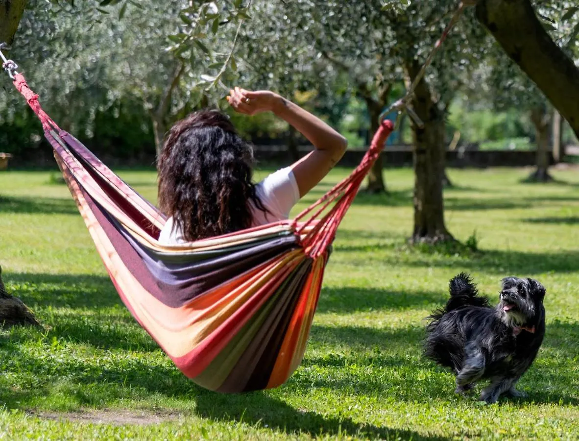 Agriturismo Ca Del Lago Gravedona Farm stay